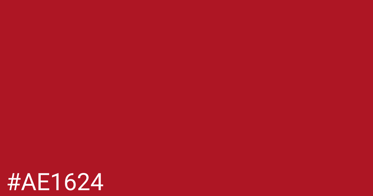 Hex color #ae1624 graphic