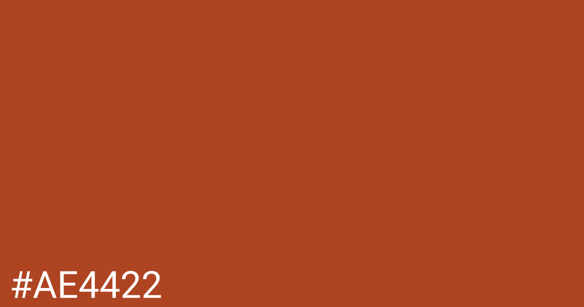 Hex color #ae4422 graphic