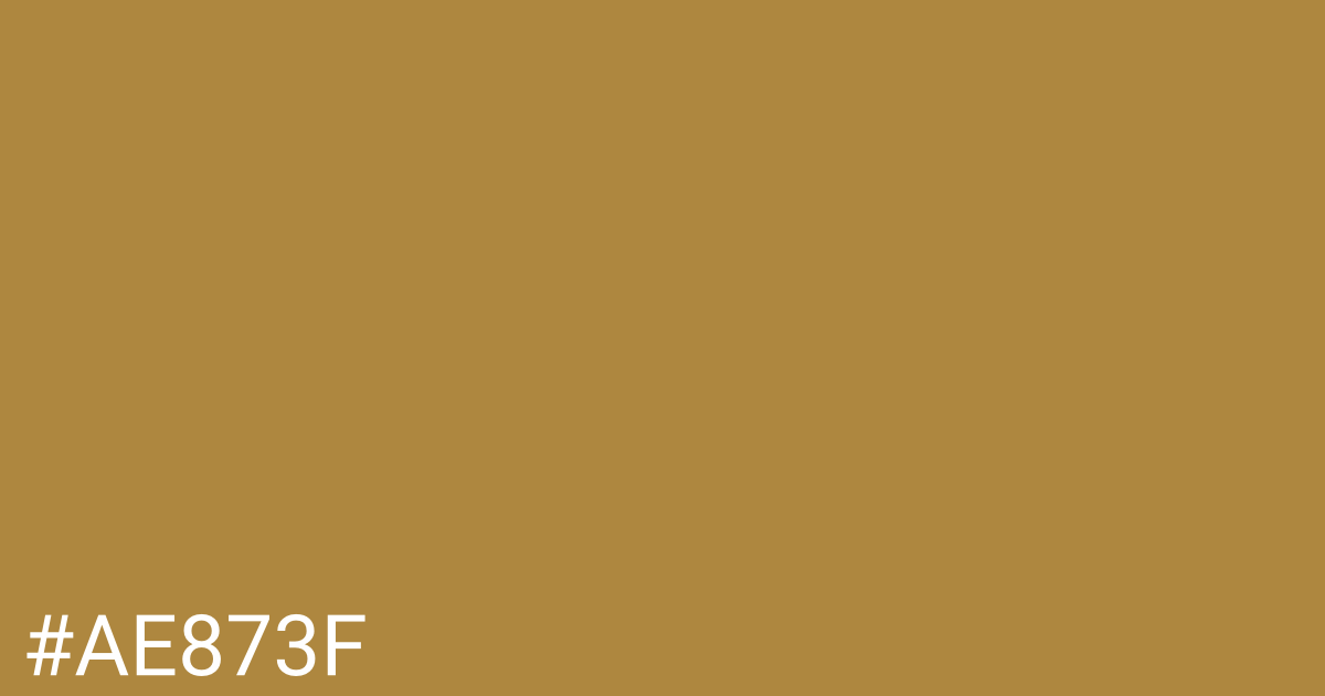 Hex color #ae873f graphic