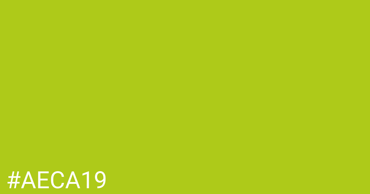 Hex color #aeca19 graphic