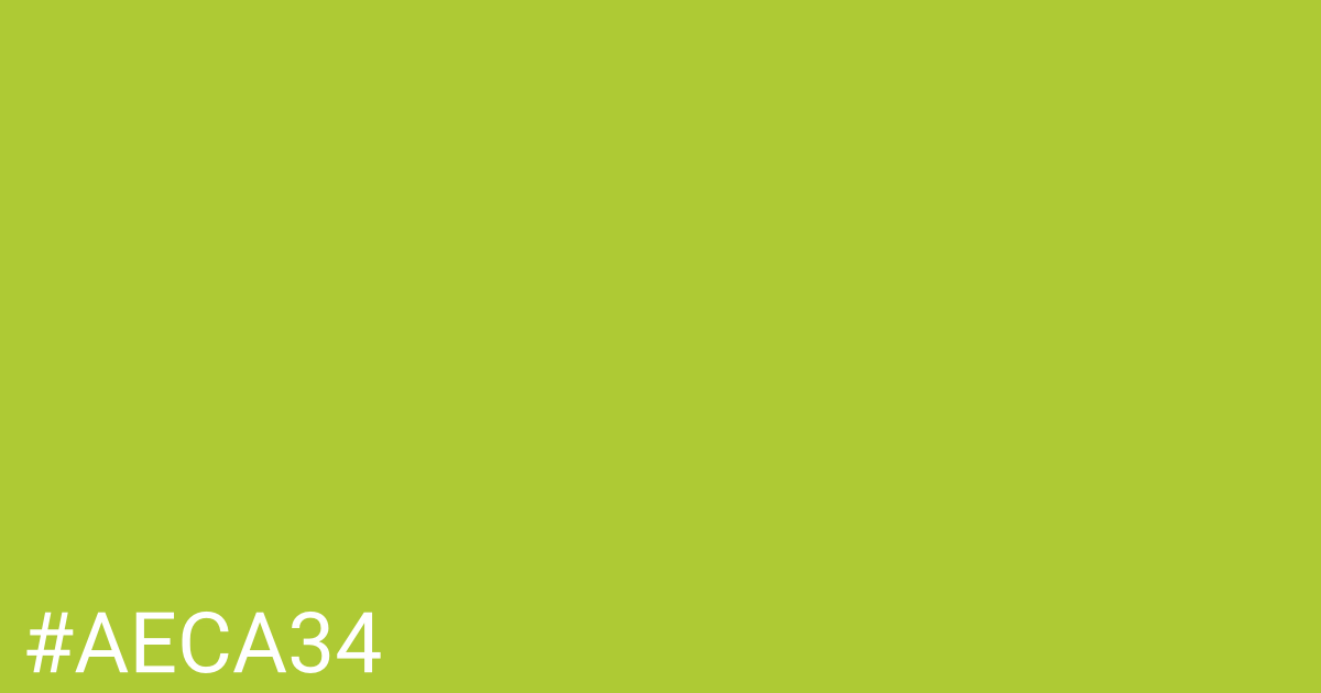 Hex color #aeca34 graphic