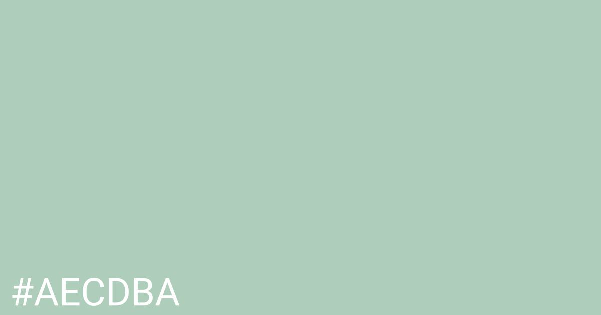 Hex color #aecdba graphic