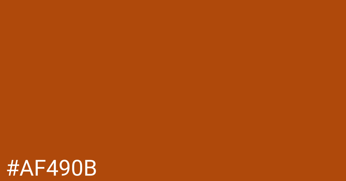 Hex color #af490b graphic