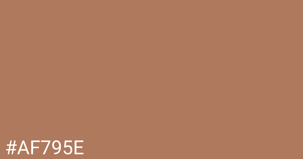 Hex color #af795e graphic