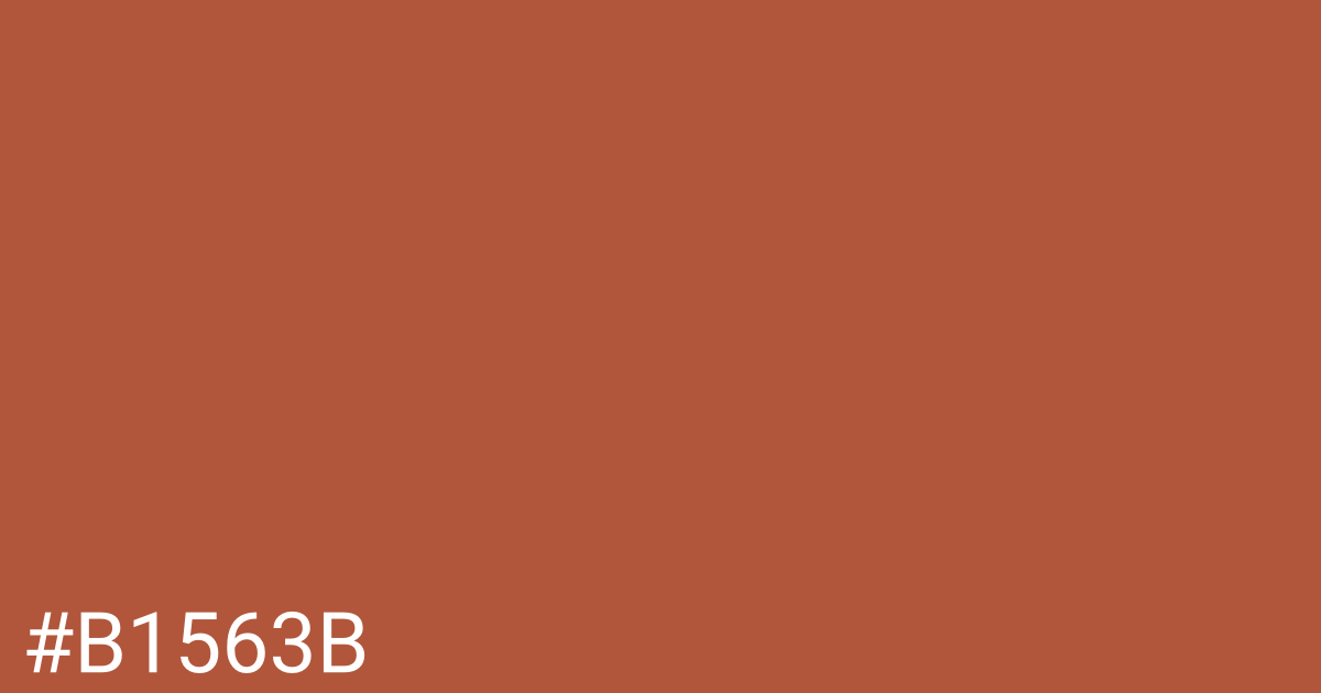 Hex color #b1563b graphic