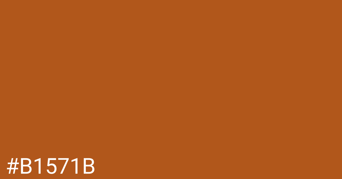 Hex color #b1571b graphic