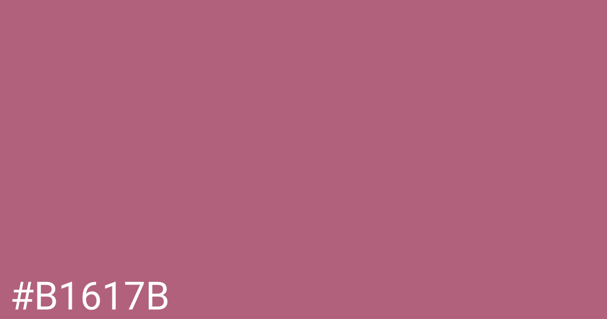 Hex color #b1617b graphic