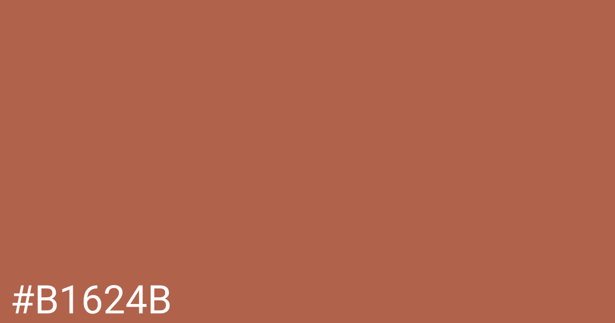 Hex color #b1624b graphic