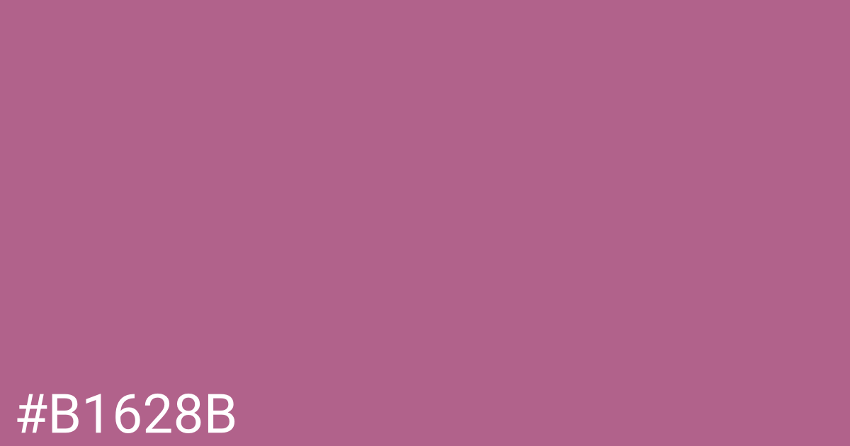 Hex color #b1628b graphic