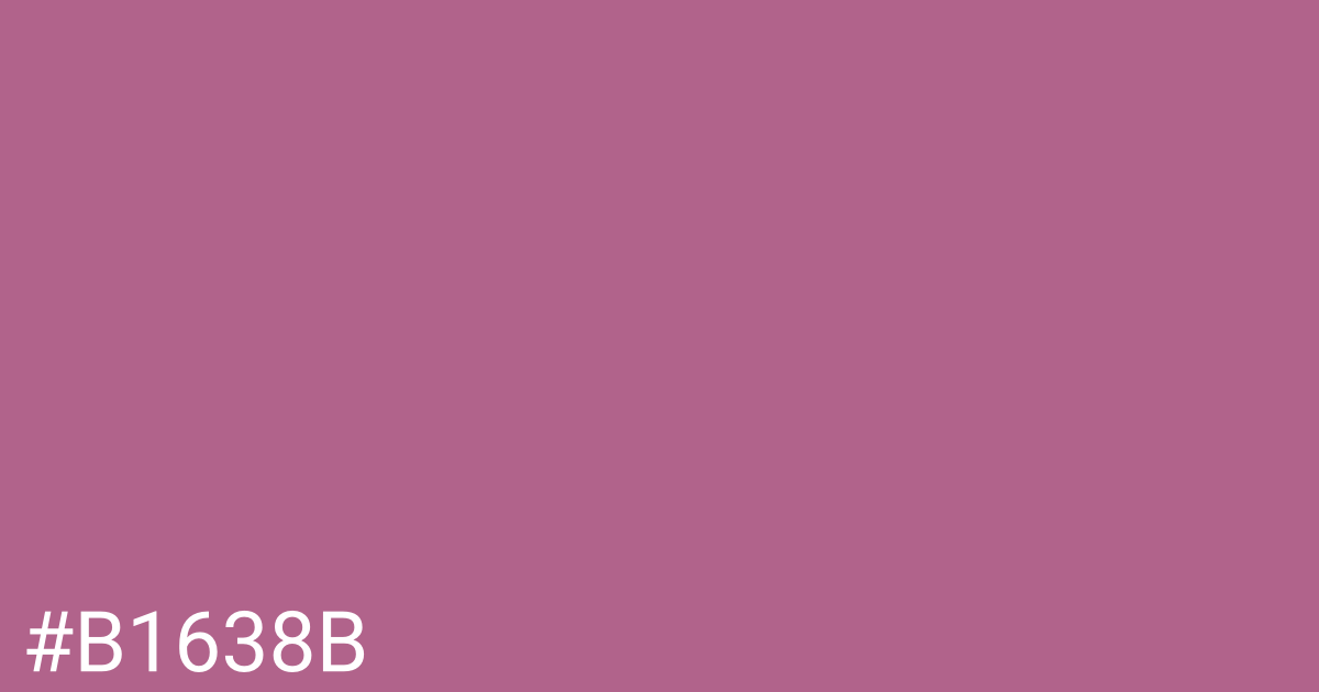 Hex color #b1638b graphic