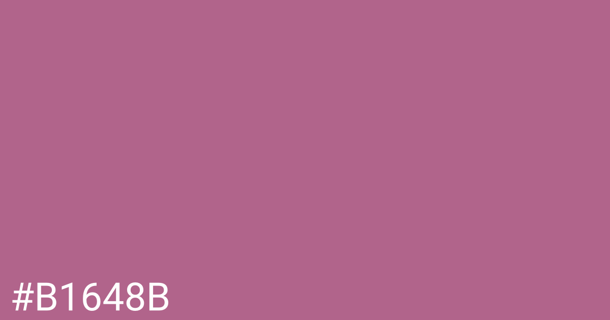 Hex color #b1648b graphic