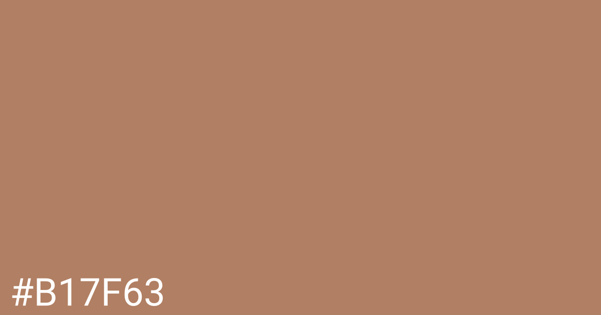 Hex color #b17f63 graphic