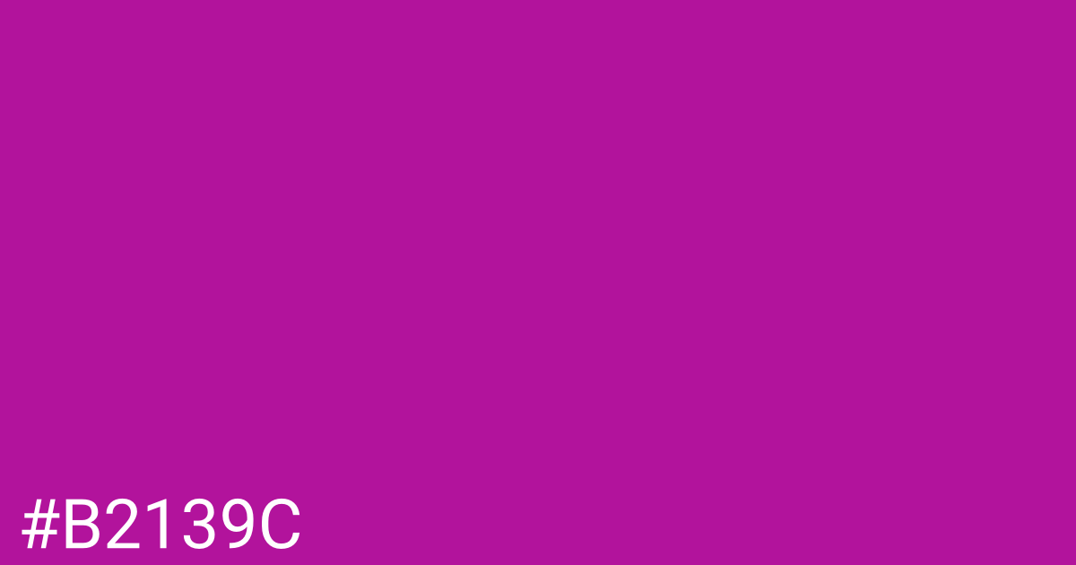 Hex color #b2139c graphic