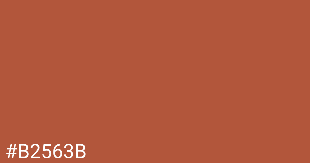 Hex color #b2563b graphic