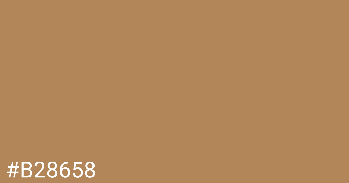 Hex color #b28658 graphic