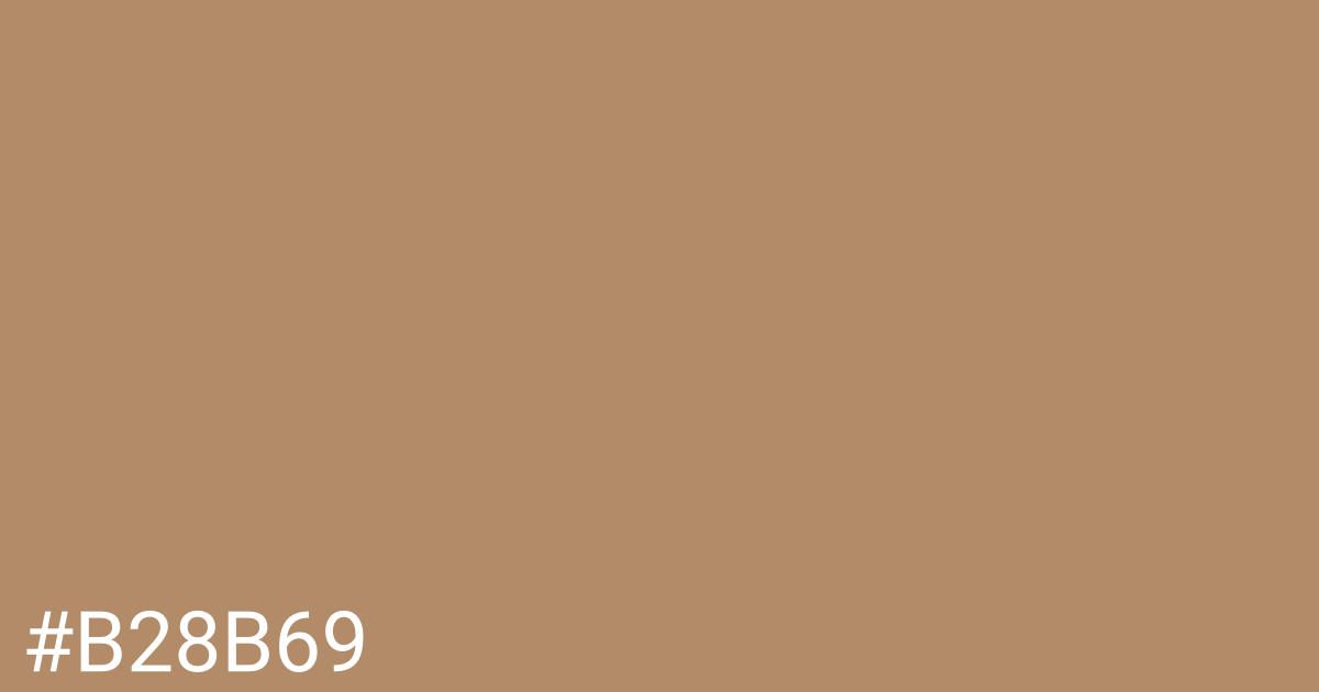 Hex color #b28b69 graphic