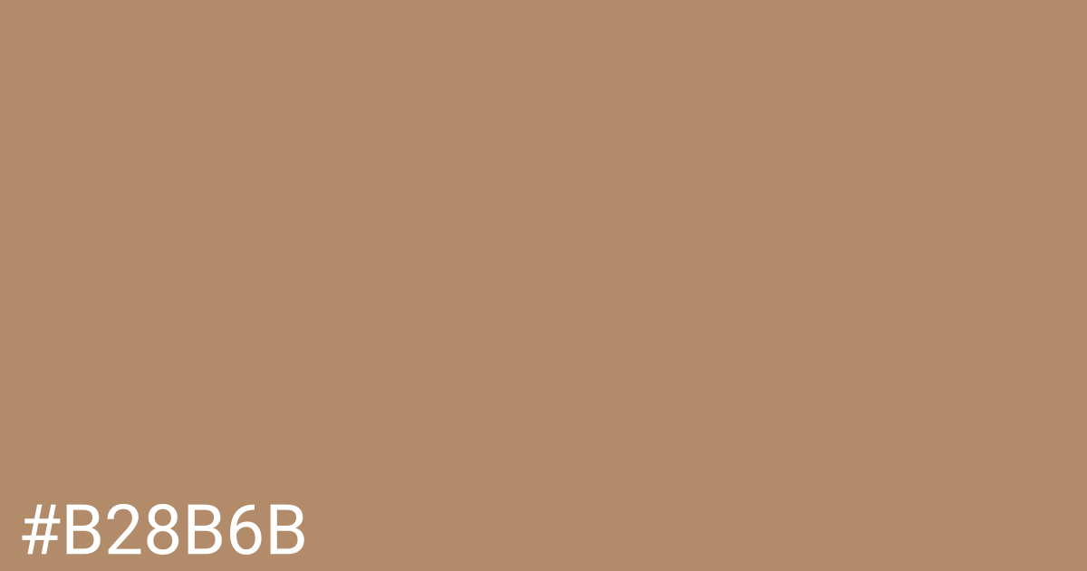 Hex color #b28b6b graphic