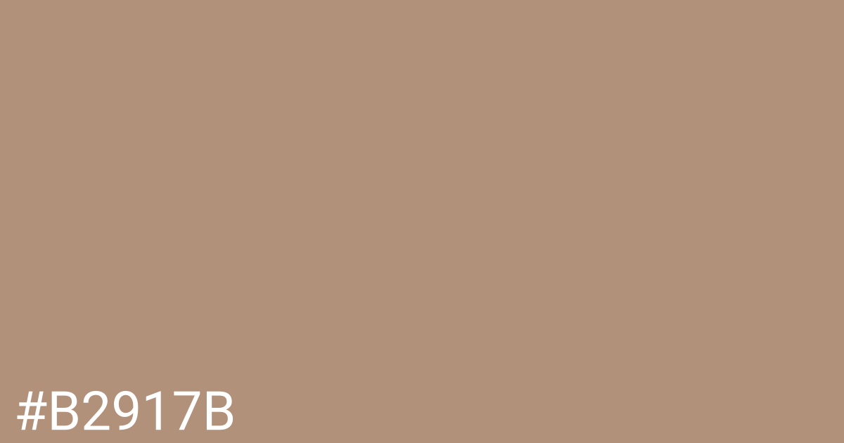 Hex color #b2917b graphic