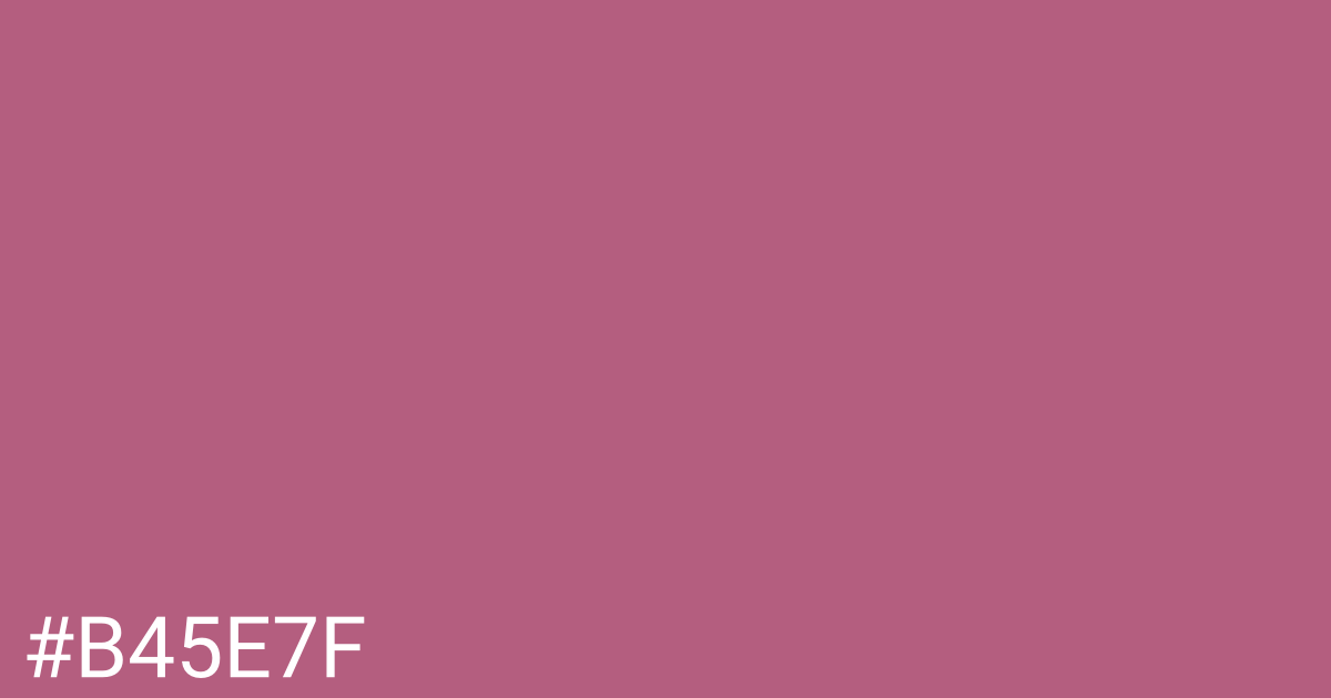 Hex color #b45e7f graphic