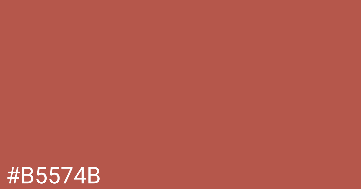 Hex color #b5574b graphic