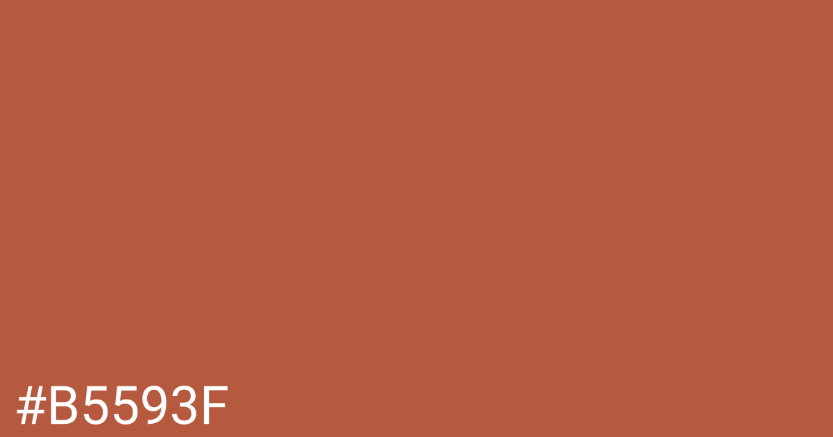 Hex color #b5593f graphic