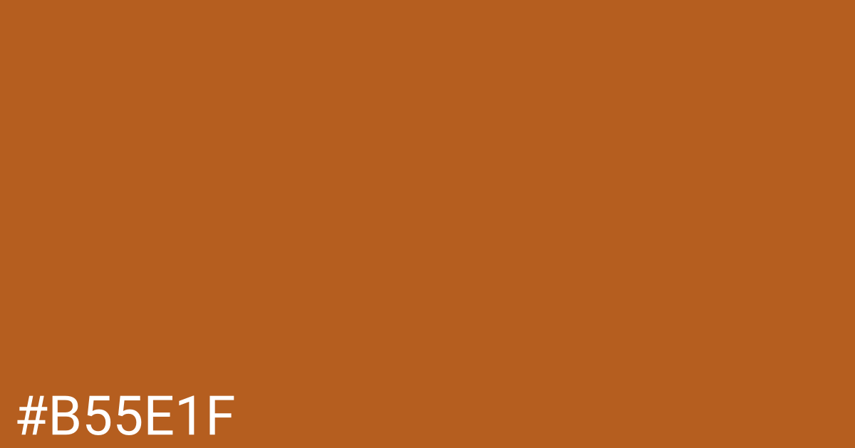 Hex color #b55e1f graphic