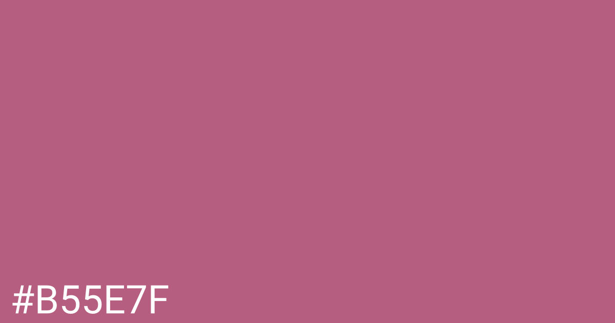 Hex color #b55e7f graphic