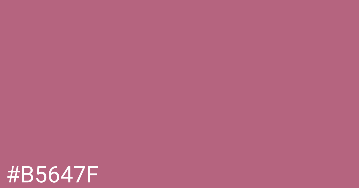 Hex color #b5647f graphic