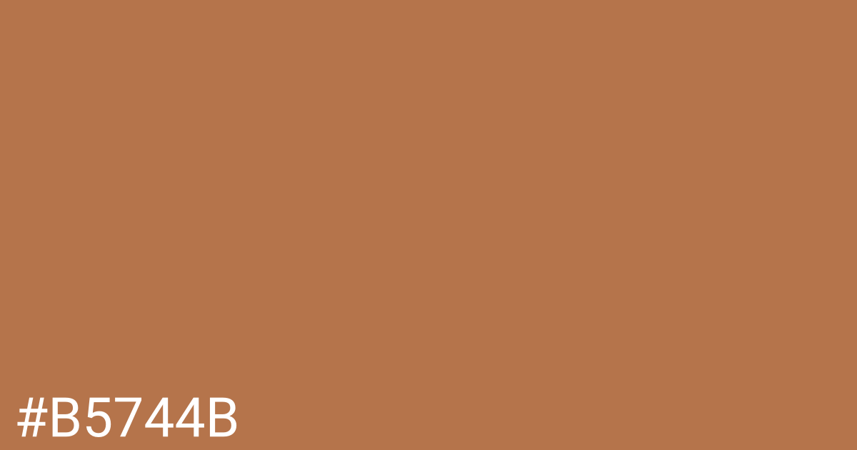 Hex color #b5744b graphic