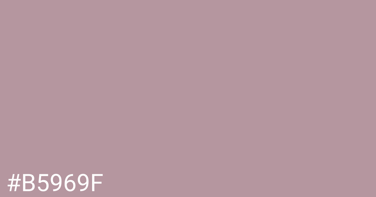 Hex color #b5969f graphic