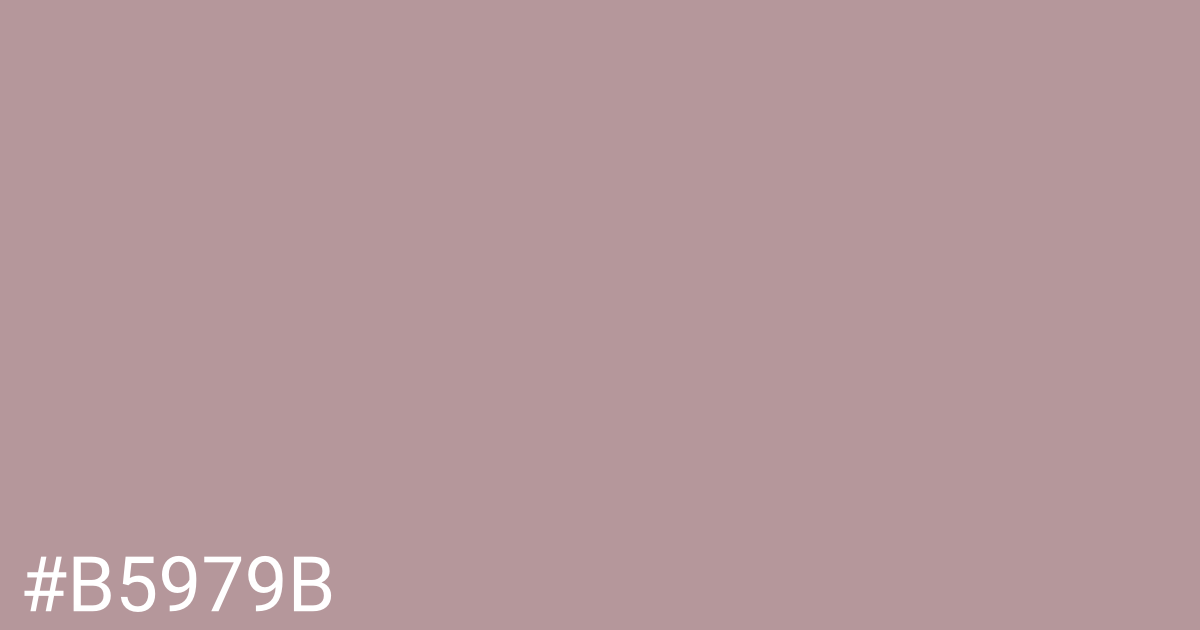 Hex color #b5979b graphic