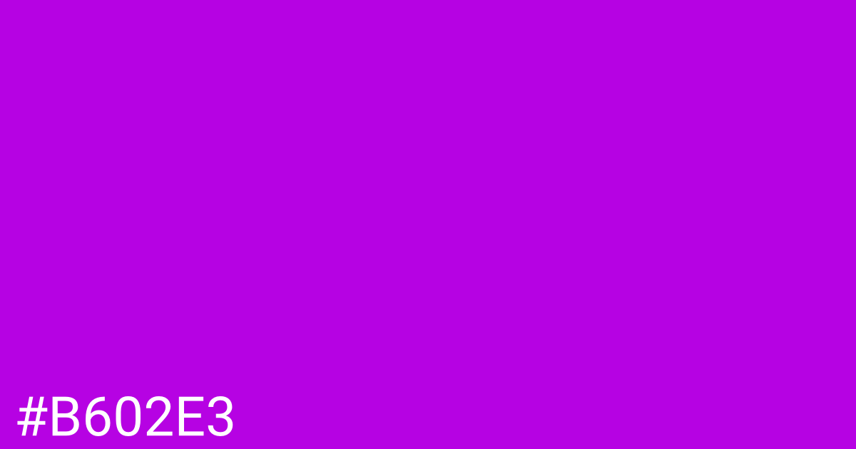 Hex color #b602e3 graphic