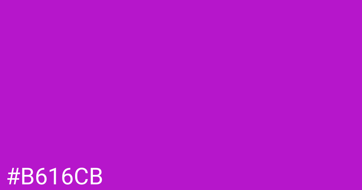Hex color #b616cb graphic