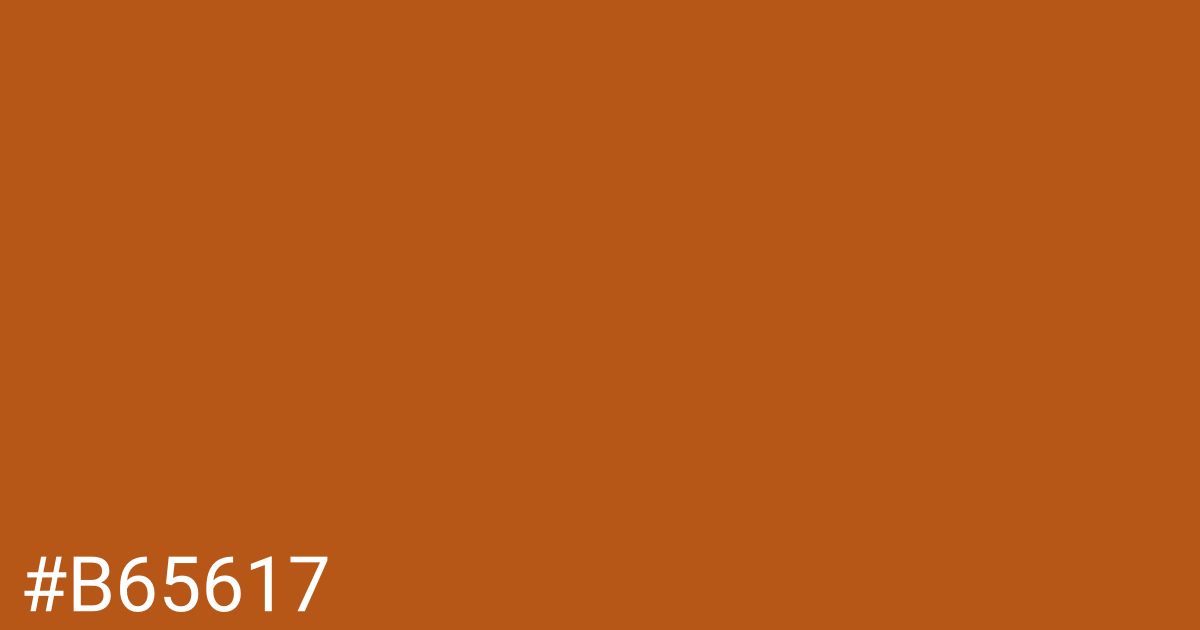 Hex color #b65617 graphic