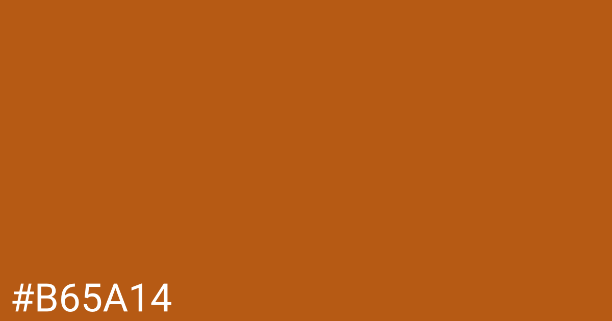 Hex color #b65a14 graphic