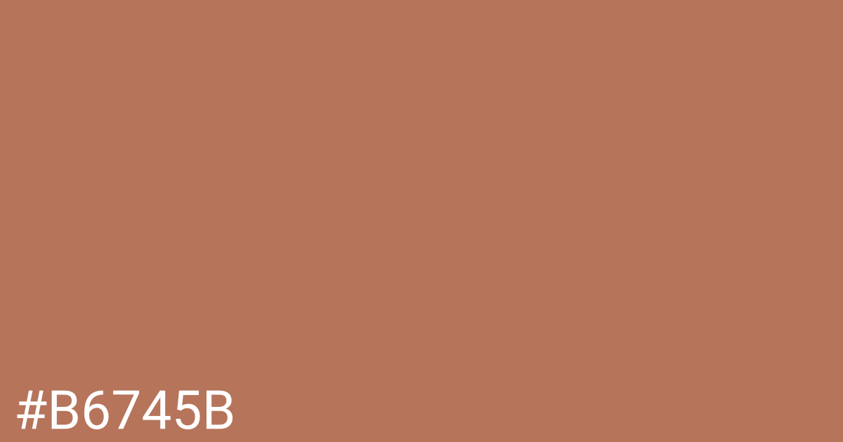 Hex color #b6745b graphic