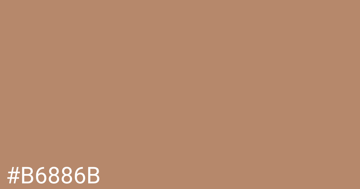 Hex color #b6886b graphic