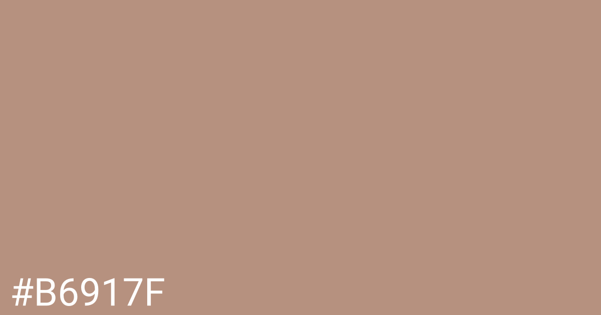 Hex color #b6917f graphic