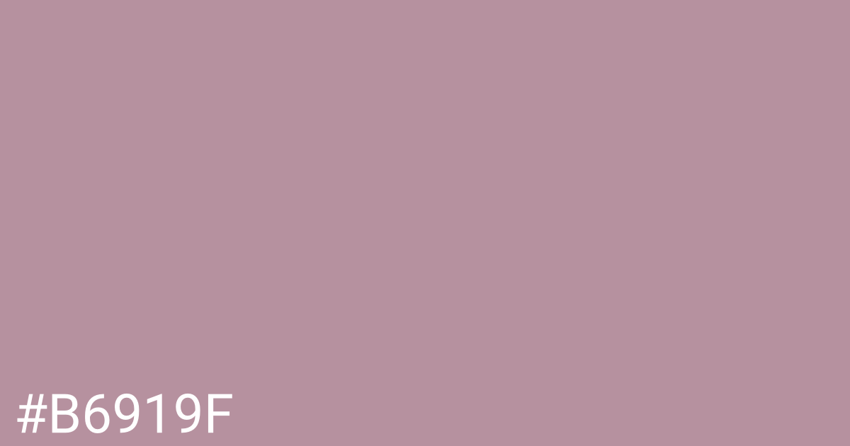 Hex color #b6919f graphic