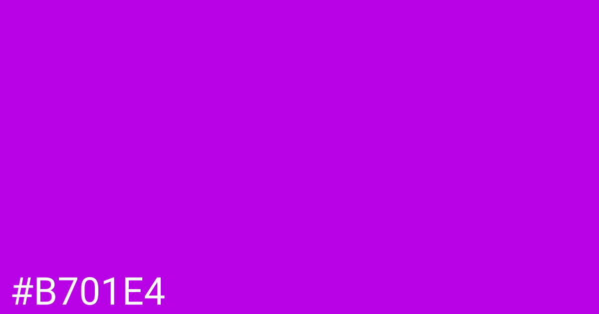 Hex color #b701e4 graphic