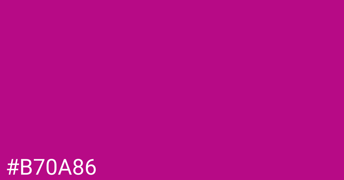 Hex color #b70a86 graphic