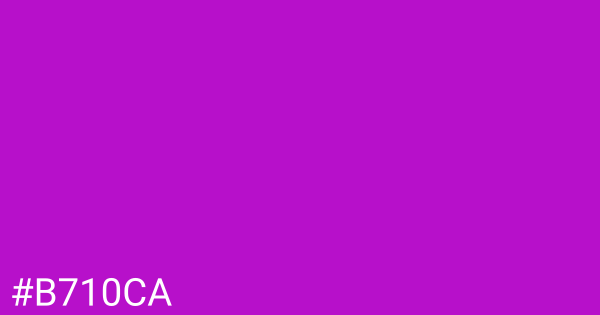 Hex color #b710ca graphic