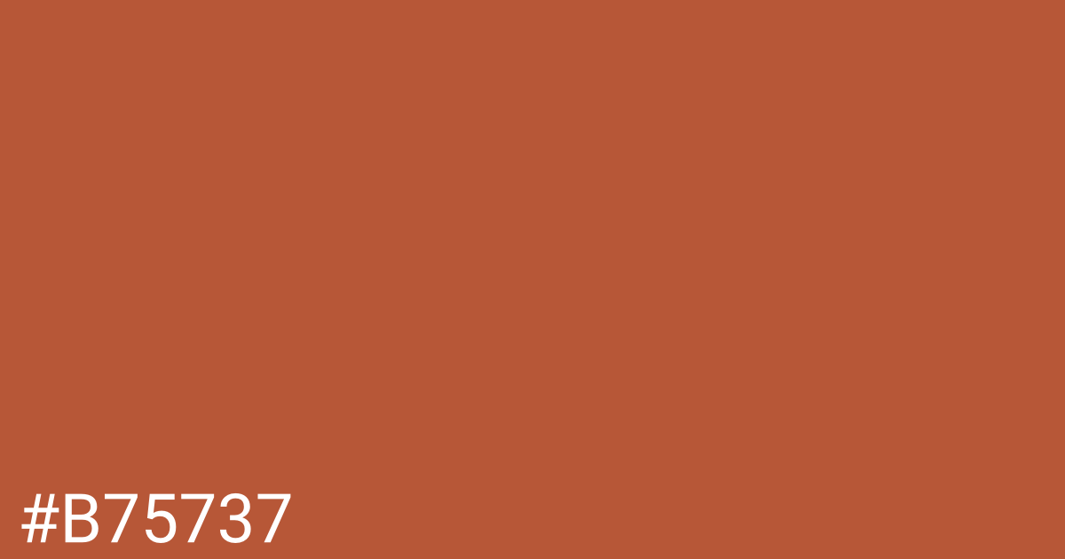 Hex color #b75737 graphic