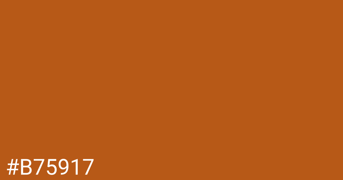 Hex color #b75917 graphic