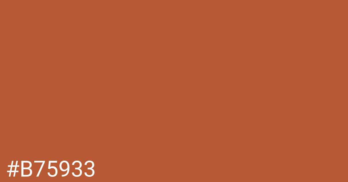 Hex color #b75933 graphic