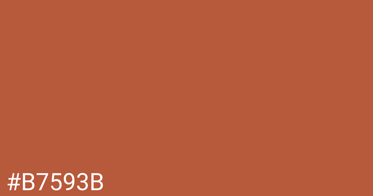 Hex color #b7593b graphic