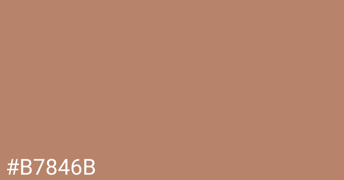 Hex color #b7846b graphic