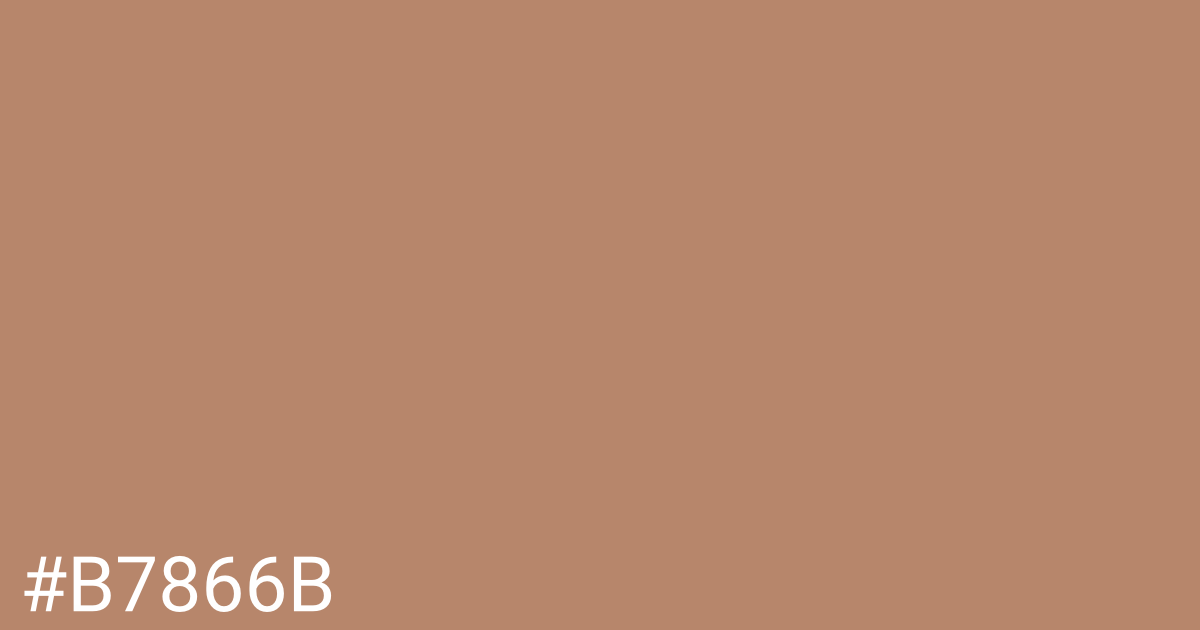 Hex color #b7866b graphic