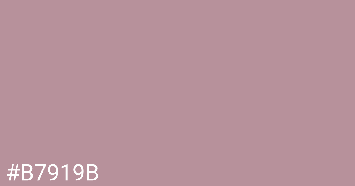 Hex color #b7919b graphic