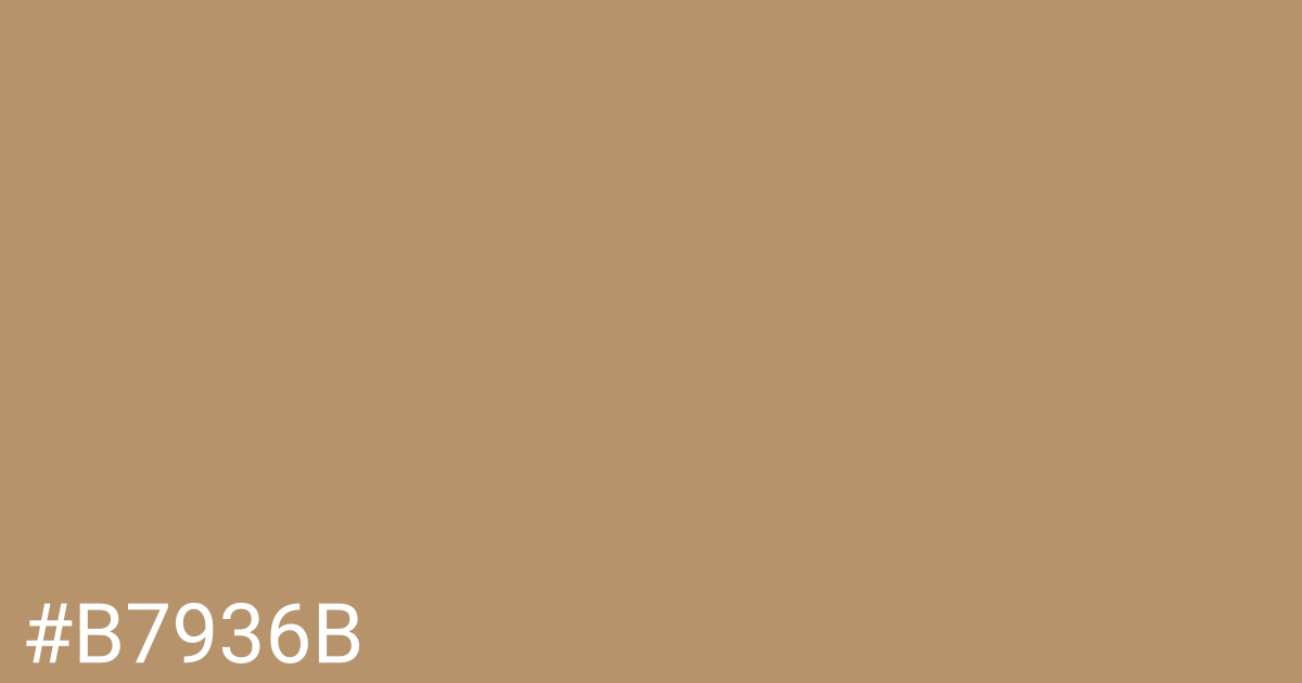 Hex color #b7936b graphic